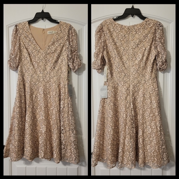 🆕️Eliza J blush lacey floral midi dress - Picture 6 of 8